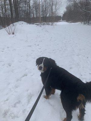 photo of Tami Schultz S.