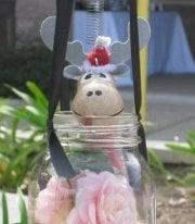 Photo of Moose R.