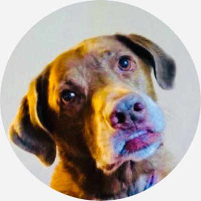 photo of Government S.