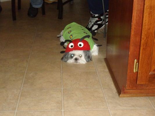 photo of Kimberly W.