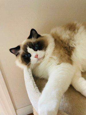 Photo of Darcey E.