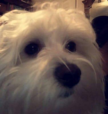 photo of Samantha J.