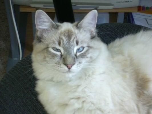 Photo of jelly d.