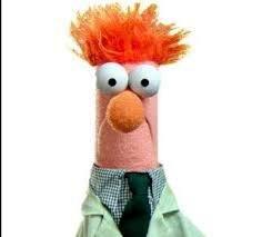 photo of Beaker Y.