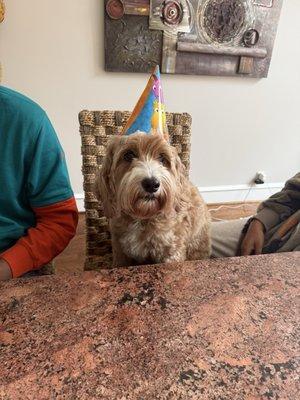 photo of Danielle J.