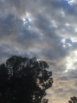 photo of Natalia P. O.