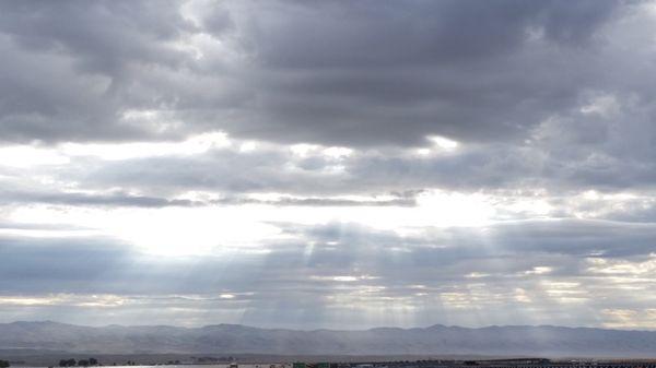 photo of MaddMike A.