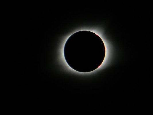 photo of Snailkite D.