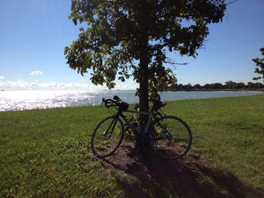 photo of Cristina B.