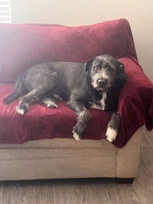 Photo of Bella B.