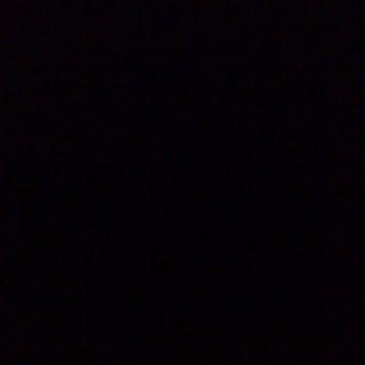 photo of Anushree P.