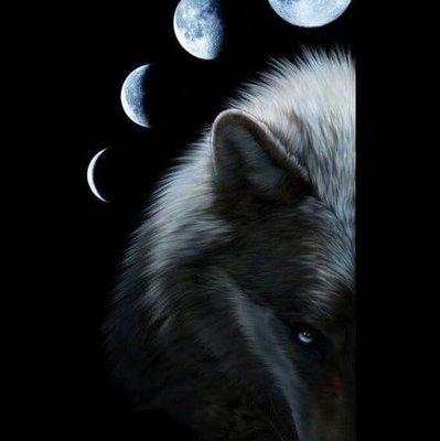photo of Luna R.