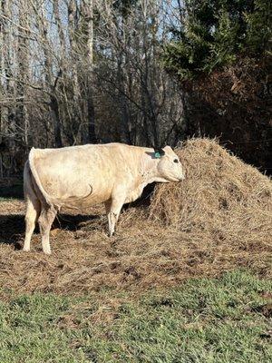 photo of Samantha R.