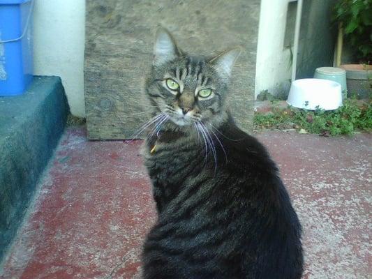 Photo of Jennifer M.