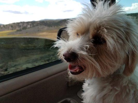 Photo of Jennifer J.