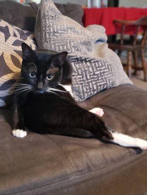 photo of Anaconsuelo C.