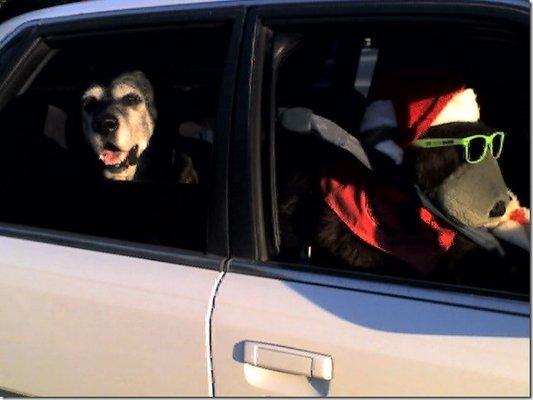 photo of Bernadine R.