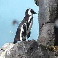 photo of Kristine J.