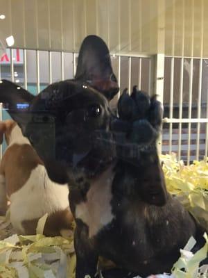 photo of Elizabeth C.