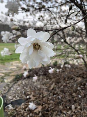 photo of Cristina C.