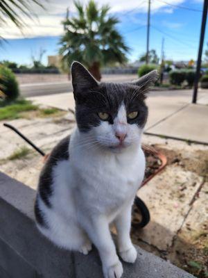 photo of Josh Woods ..