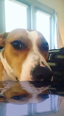 Photo of Alexander D.