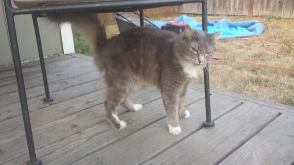 Photo of Jeremiah G.