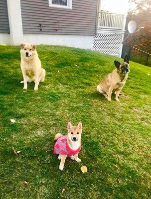 photo of Jennifer N.