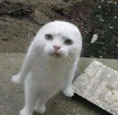 Photo of Wienerwater W.