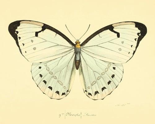 Photo of Carla L.