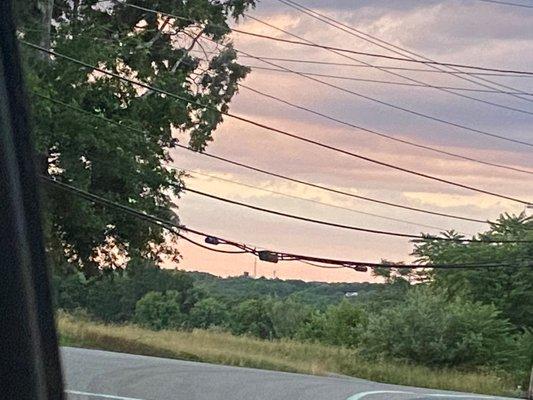 Photo of Summer T.