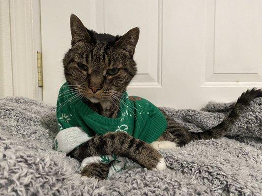 photo of Kristina B.