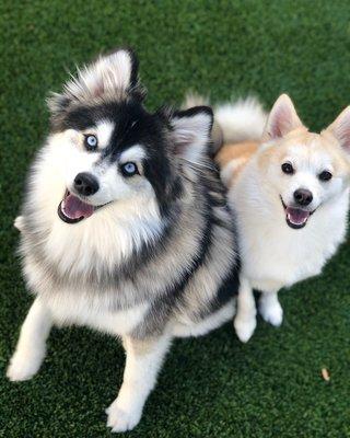 Photo of Isabella M.