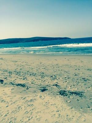 photo of Sara Marie J.