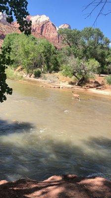 Photo of Cayse Lyn C.