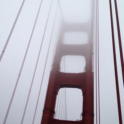 photo of Chantelle J.