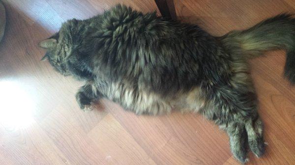 photo of Jennifer C.