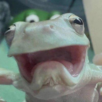 photo of Christina T.