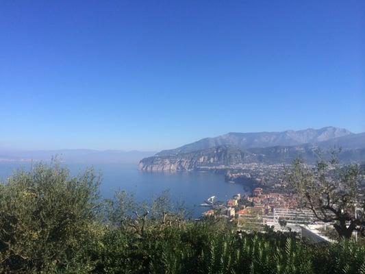 photo of Katerina K.