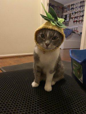 Photo of Birdie U.