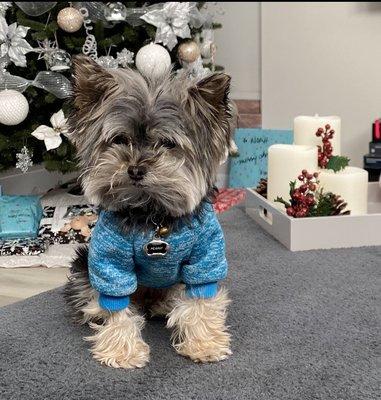 Photo of Tiffanie T.