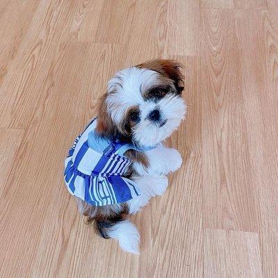 photo of Autismus P.