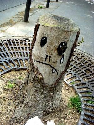 photo of Alisdaire Bar F.