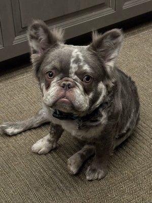 photo of Stephanie O.