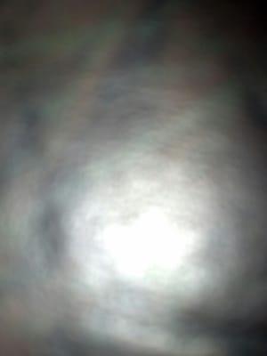 Photo of Alex S.