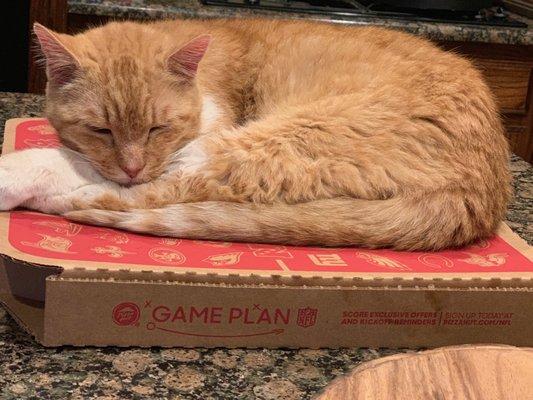 Photo of Verdiana H.