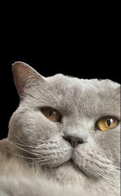 photo of Caroline K.