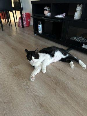 photo of Carolina S.