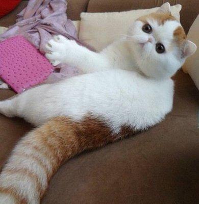 Photo of Jie X.