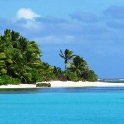 photo of Karishma R.